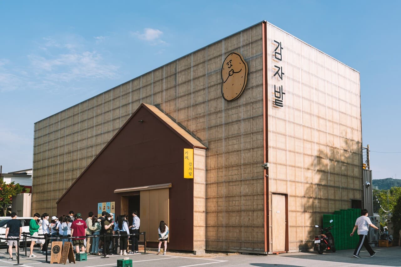 감자밭: 줄 서서 먹는 한국의 감자빵, 일본 열도를 사로잡다